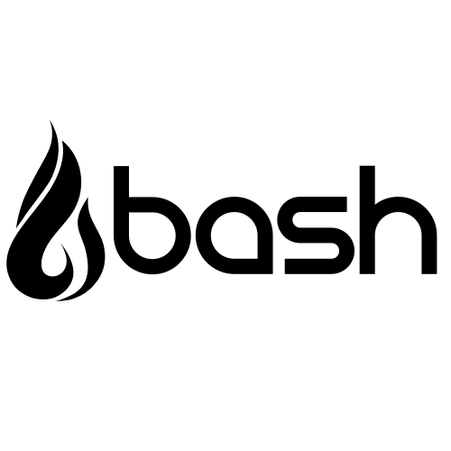 logo swinger